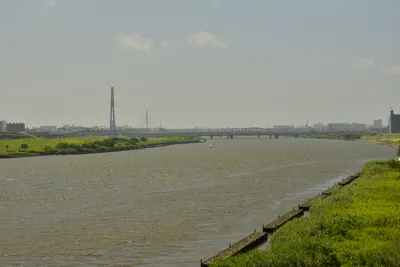 DSC_3821 (Large).JPG